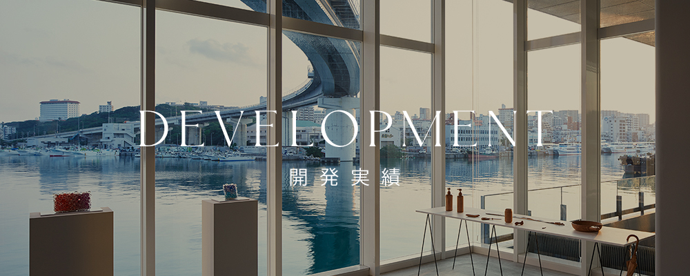 開発実績 開発実績